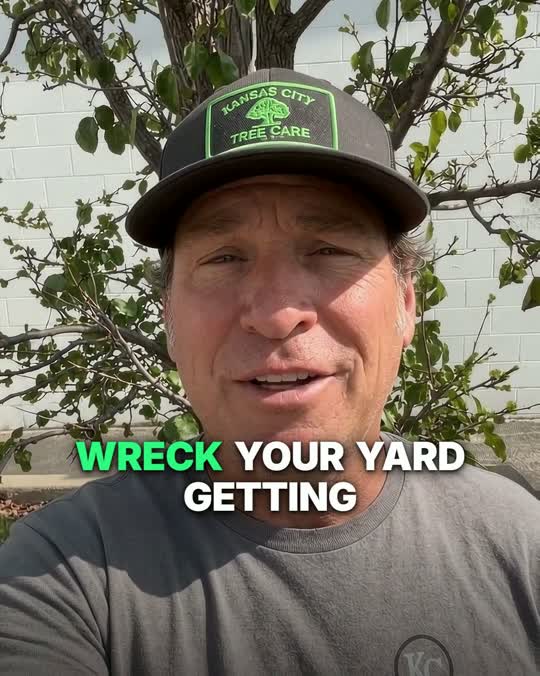 A real Facebook video ad we run: Zach, owner of Kansas City Tree Care